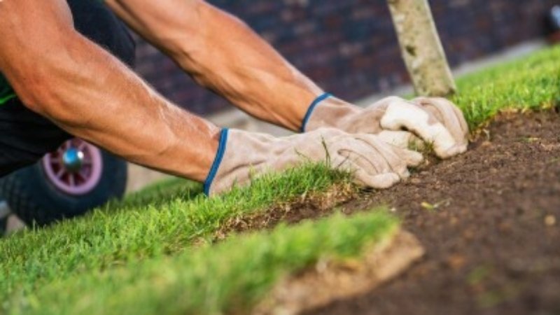 Sydney Turf Installers