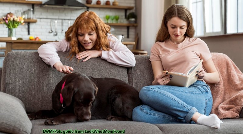 Pet Guide LWMFPets from LookWhatMomFound: A Complete and Practical Pet Care Resource